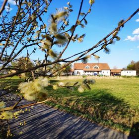 Penzion Na celnici Nové Hrady