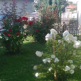 Smaragd Villa Balatonboglár