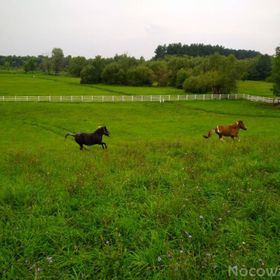 W Łęgu Natury Nur