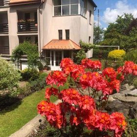 Penzion Swist Česká Ves