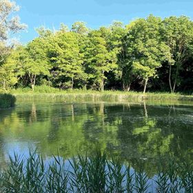 Kökényház Vendégház Kötcse