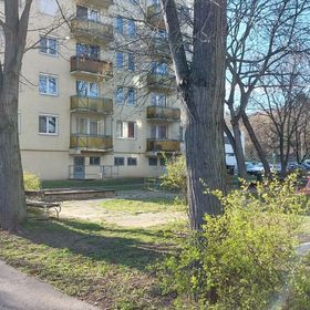 Szürke Macska Vendégszoba Miskolc