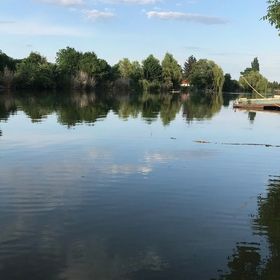 Bambusz Vendégház Békésszentandrás