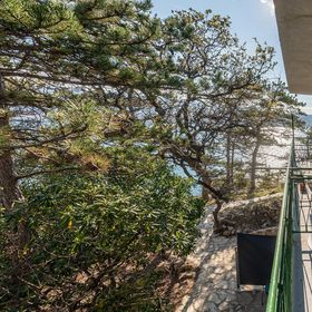 Apartman Novalja - CKP019