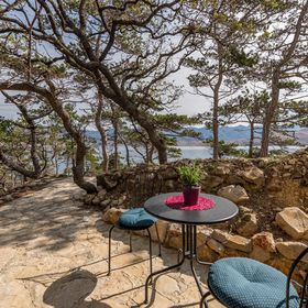 Apartman Novalja - CKP020