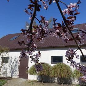 Apartament nad Gąską - Ranczo Tomaszówka