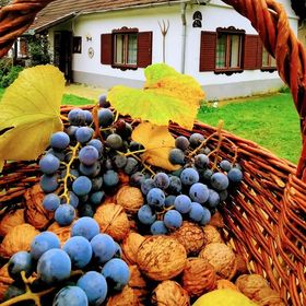 Őrség Kincse Vendégház Hegyhátszentjakab