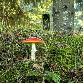 Őrség Kincse Vendégház Hegyhátszentjakab