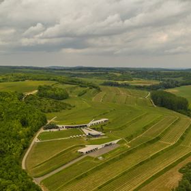 Lajver Borbirtok Szálka