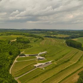 Lajver Borbirtok Szálka