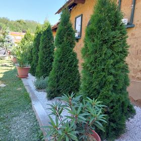 Levendula Studió Apartman Bodony