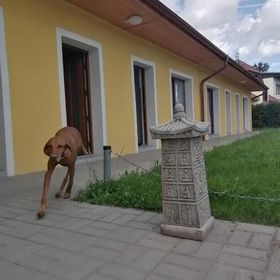 Penzion Loren Františkovy Lázně