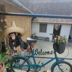 Smile Apartments Sighișoara