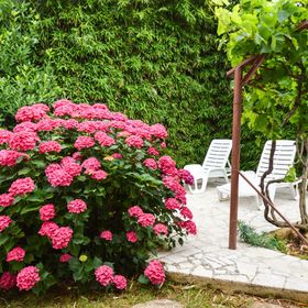 Apartman Robert Pješčana Uvala