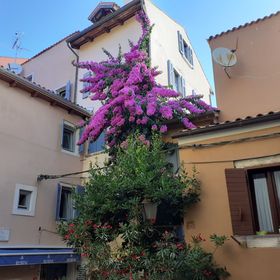 Apartment Eufemia Old Town Rovinj