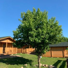 Pod Dziką Jabłonią 1