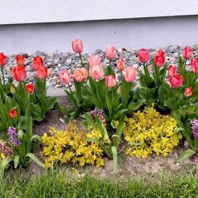 Agroturystyka Leśny Zakątek Dziewięcierz