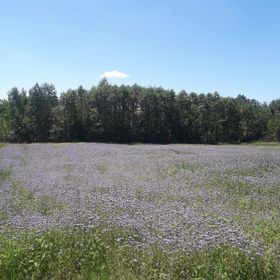 Agroturystyka Leśny Zakątek Dziewięcierz