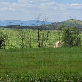 Csertó Vendégház Alsópetény