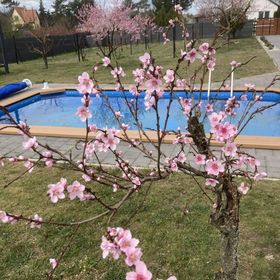 Loft Paradise Vendégház**** Győr