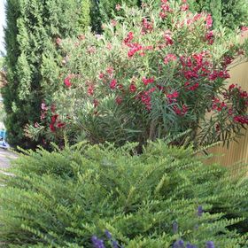 Hajnalsugár Apartman Hajdúszoboszló