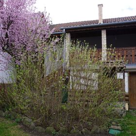 Bricskó Vendégház Szokolya