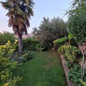 Apartments Jasmine Okrug Gornji