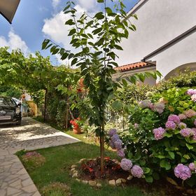 Apartmanok Parkolóhellyel Valbandon, Fazana - 19663 Valbandon