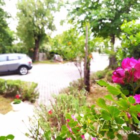 Apartmanok és Szobák Parkolóhellyel Novi Vinodolski - 19860