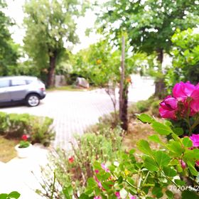 Apartmanok és Szobák Parkolóhellyel Novi Vinodolski - 19860