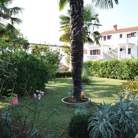 Apartmanok Parkolóhellyel Njivice, Krk - 20474 Njivice