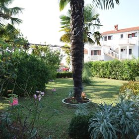 Apartmanok Parkolóhellyel Njivice, Krk - 20474 Njivice