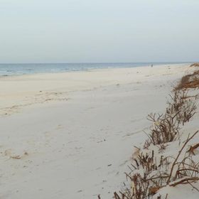 Domek Słoneczna Przystań Sasino