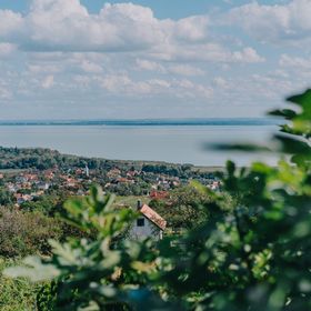 Hegyi Füge Vendégház Csopak