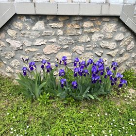 Füge Apartman Hévíz