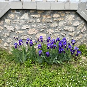 Füge Apartman Hévíz