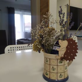 Sweet Life Apartments Hajdúszoboszló