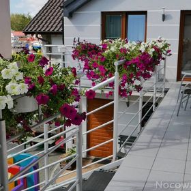 Meduza Łeba - Pokoje gościnne w porcie