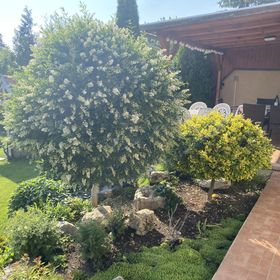 Balatonfüred-Péter Apartman Balatonfüred