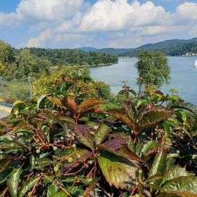 Domek Nad River San Olchowiec