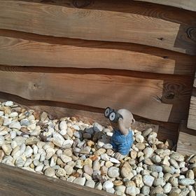 Diófa Apartman Somlószőlős