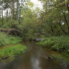 Dom Letniskowy - Patio - ognisko & koza Maciejowice