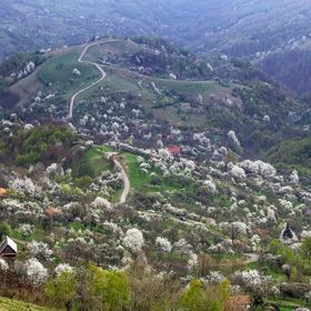 Almost Heaven Apuseni Reț