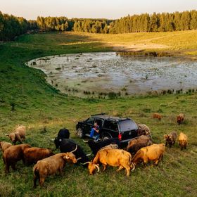 Highland Warmia Gospodarstwo Agroturystyczne Jeziorany