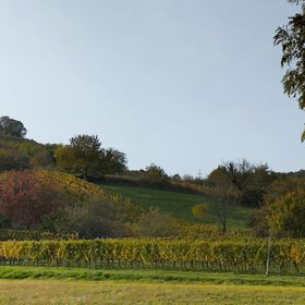 Lesence Zug Vendégház Lesencetomaj