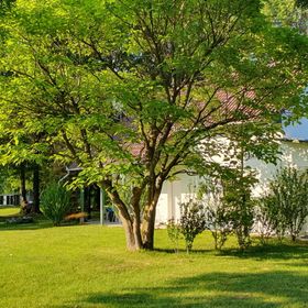 Nagyfoki Liget Vendégház Szarvas