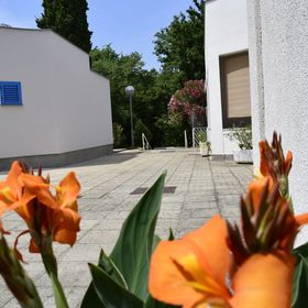 Apartments Lavin Malinska