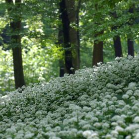 Naplemente Vendégház Orfű