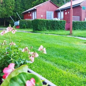 Mecsek Virágai Lak Apartman Magyarhertelend