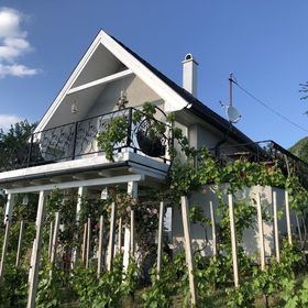 Panoráma Fészek Vendégház Badacsonytördemic